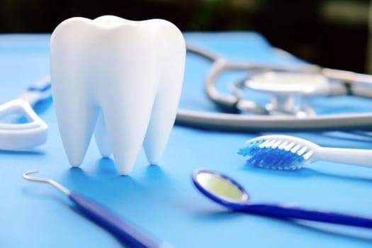 a model of a tooth sitting on a table with dental tools